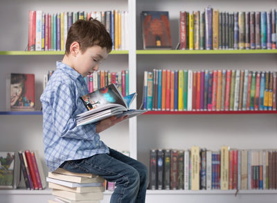 Comprensión lectora: cómo formar lectores competentes (Autoestudio)