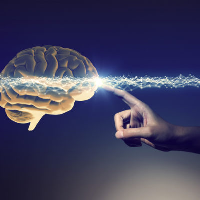 Curso: Neurociencia aplicada a la educación (Autoestudio)