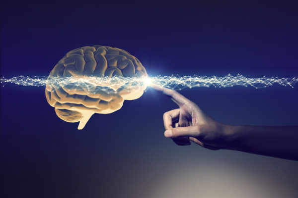 Curso: Neurociencia aplicada a la educación (Autoestudio)